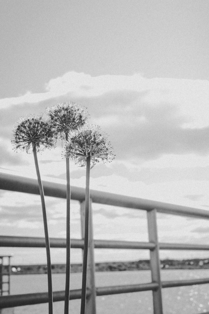 Photograph by Анастасия Хованская