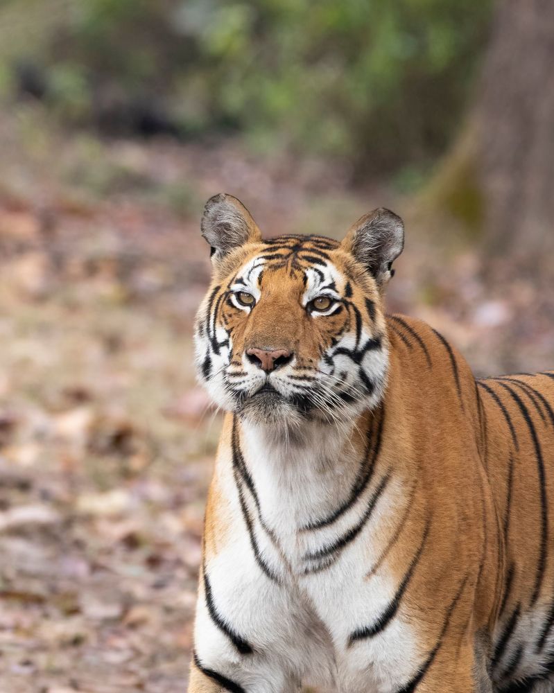 Photograph by Santhosh GVN