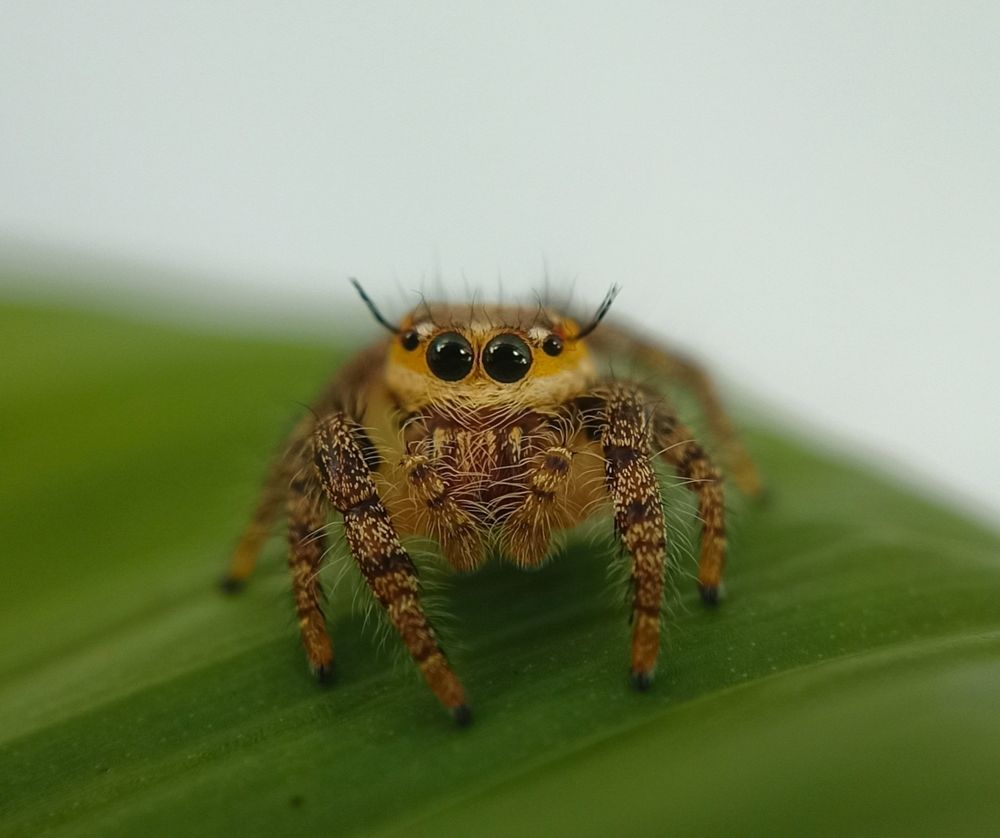 Photograph by Mohammed Ashik R S