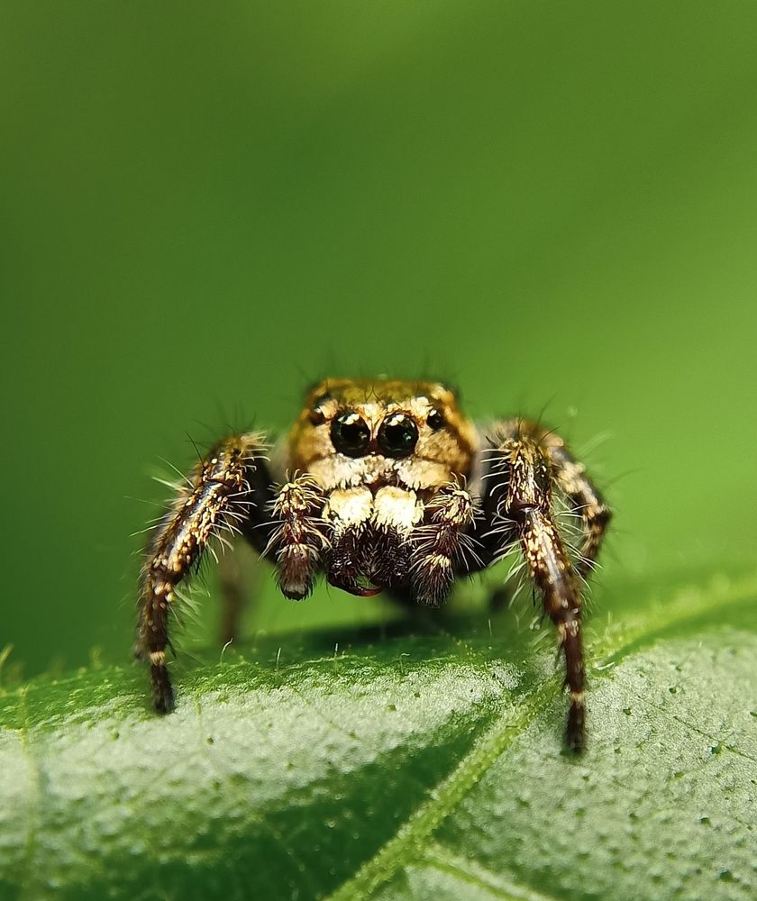 Photograph by Mohammed Ashik R S