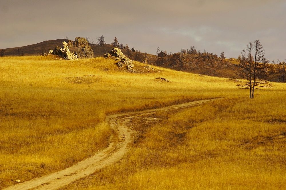 Photograph by Анастасия Скворцова