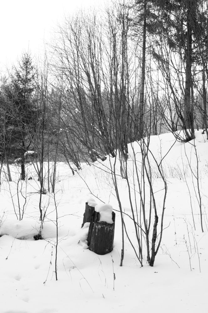 Photograph by Ксения Бочкова