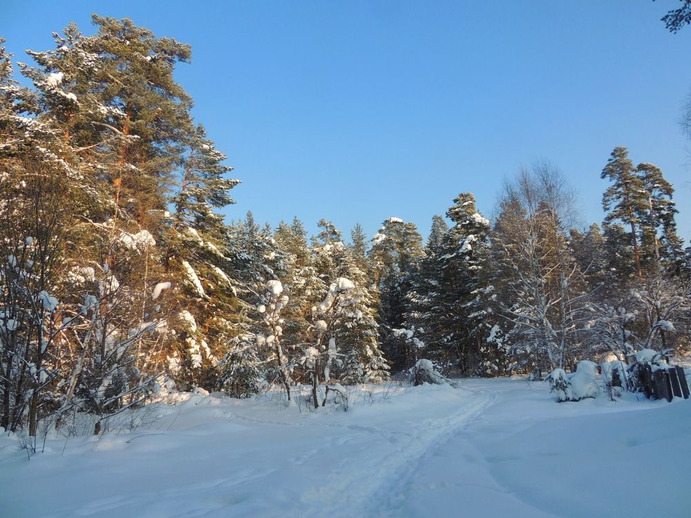 Photograph by Николай Николаевич Леухин