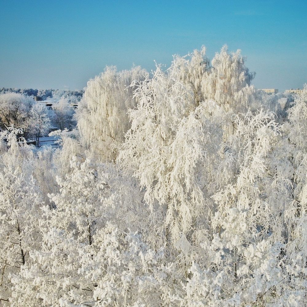 Photograph by Алексей Темешов
