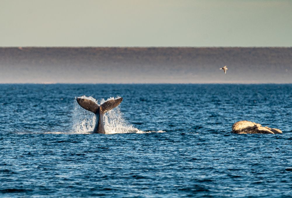 Photograph by Maria Victoria Lopez