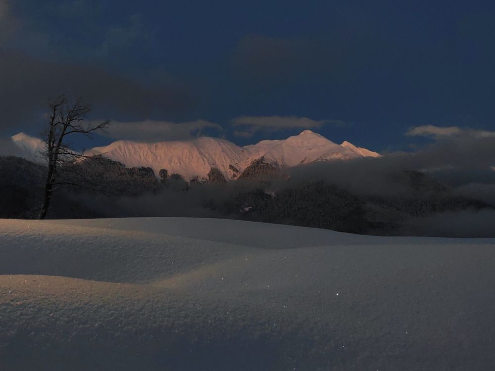 Photograph by Евгений Симион