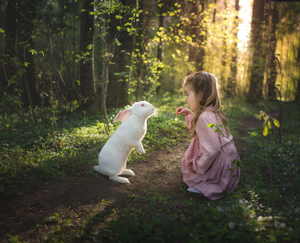 Photograph by Васильева Ольга