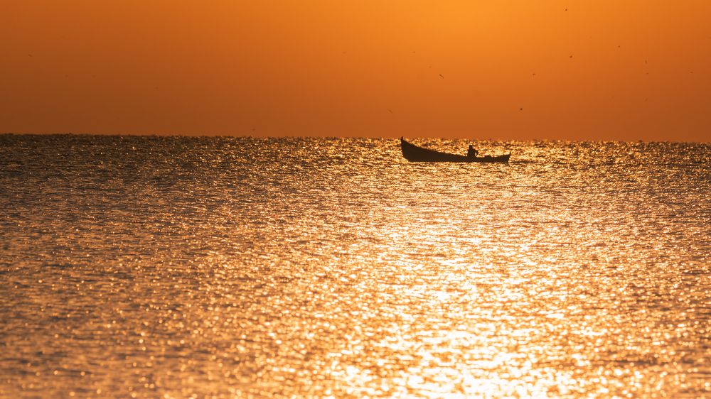 Photograph by Alexandru Handrache