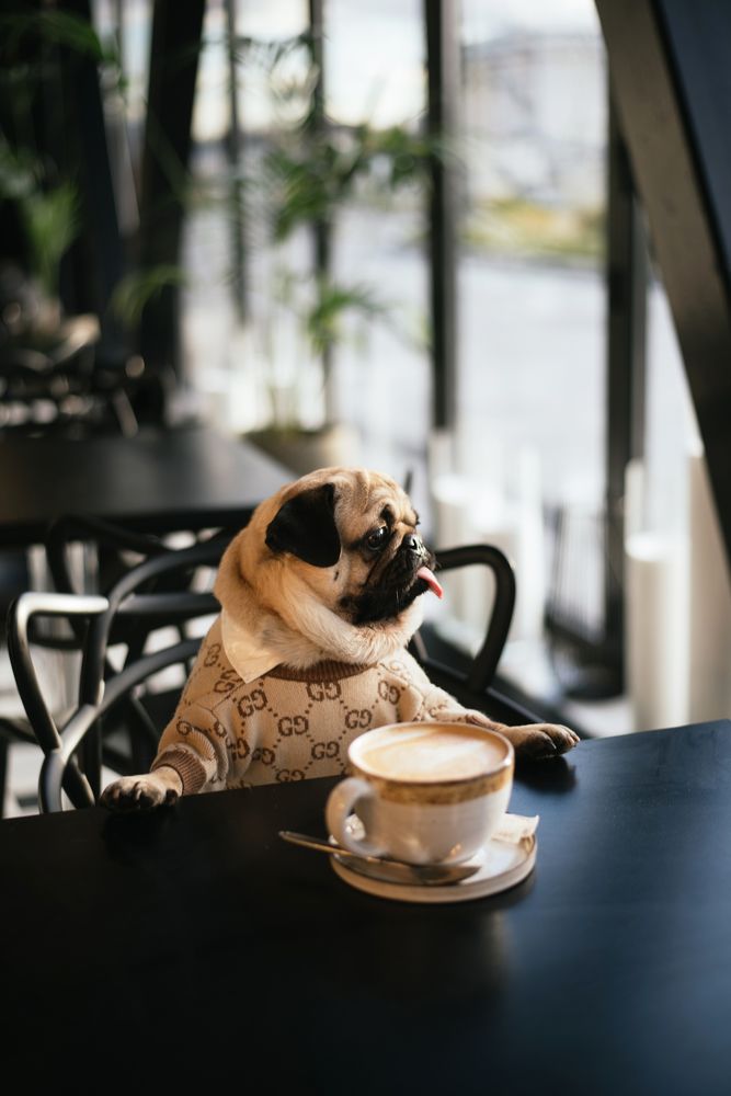 Photograph by Елена