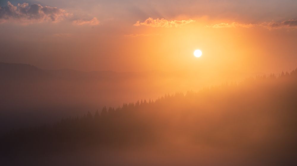 Photograph by Alexandru Handrache