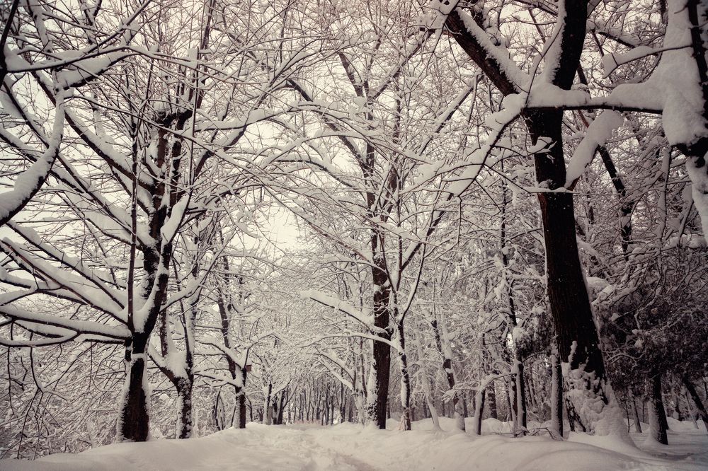 Photograph by EKATERINA WALTER