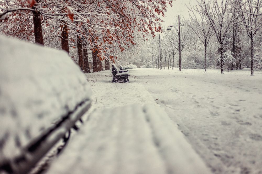 Photograph by EKATERINA WALTER