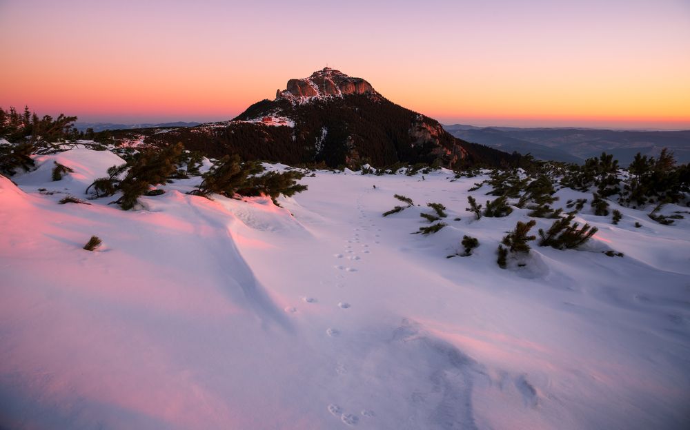 Photograph by Alexandru Handrache