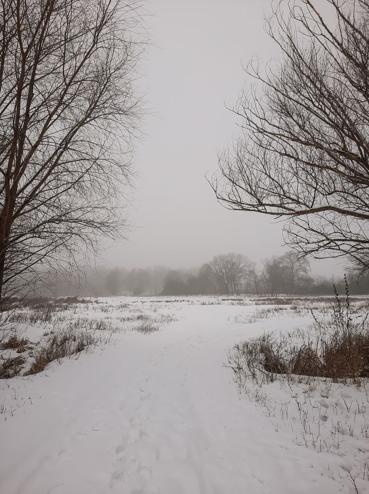 Photograph by Юлия Закопайло