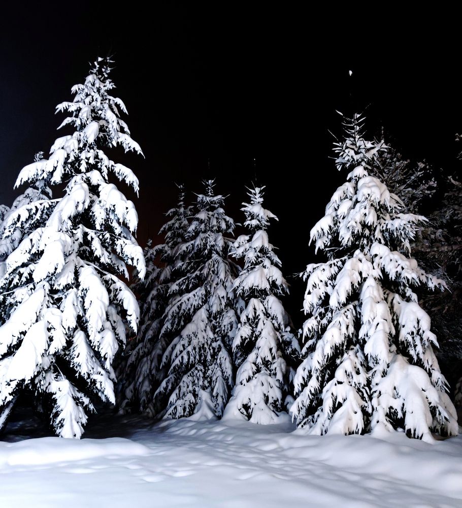 Photograph by Инна Макарчук