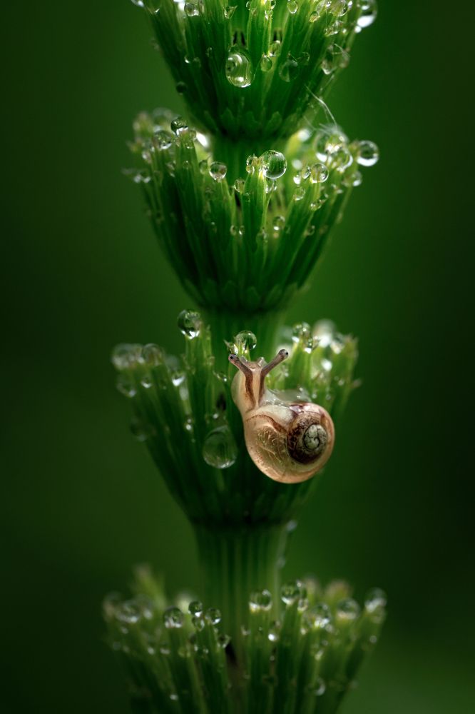 Фотография автора Татьяна Гореславец