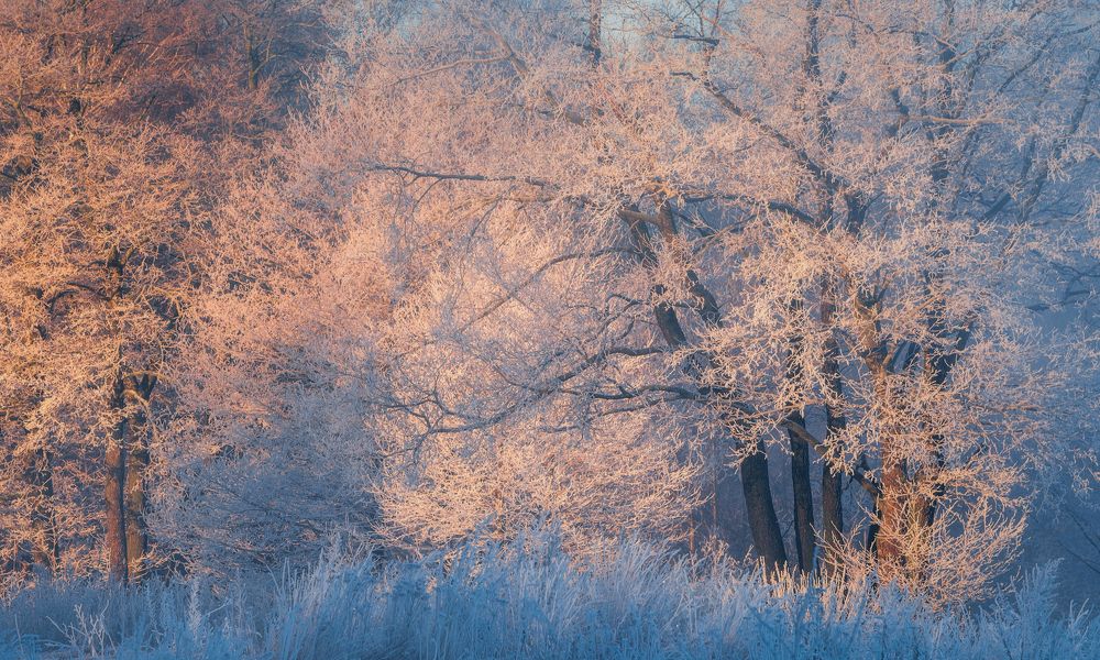 Photograph by Левыкин Виталий