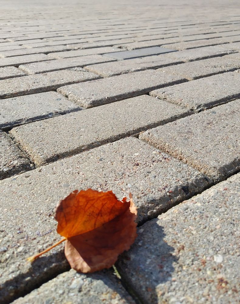 Photograph by Владимир Воложинский