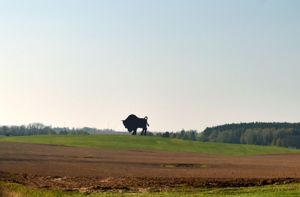 Photograph by Владимир Воложинский