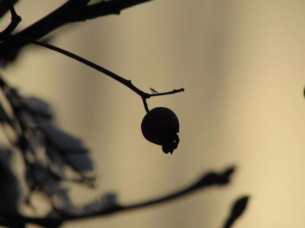 Photograph by Елена Кузнецова