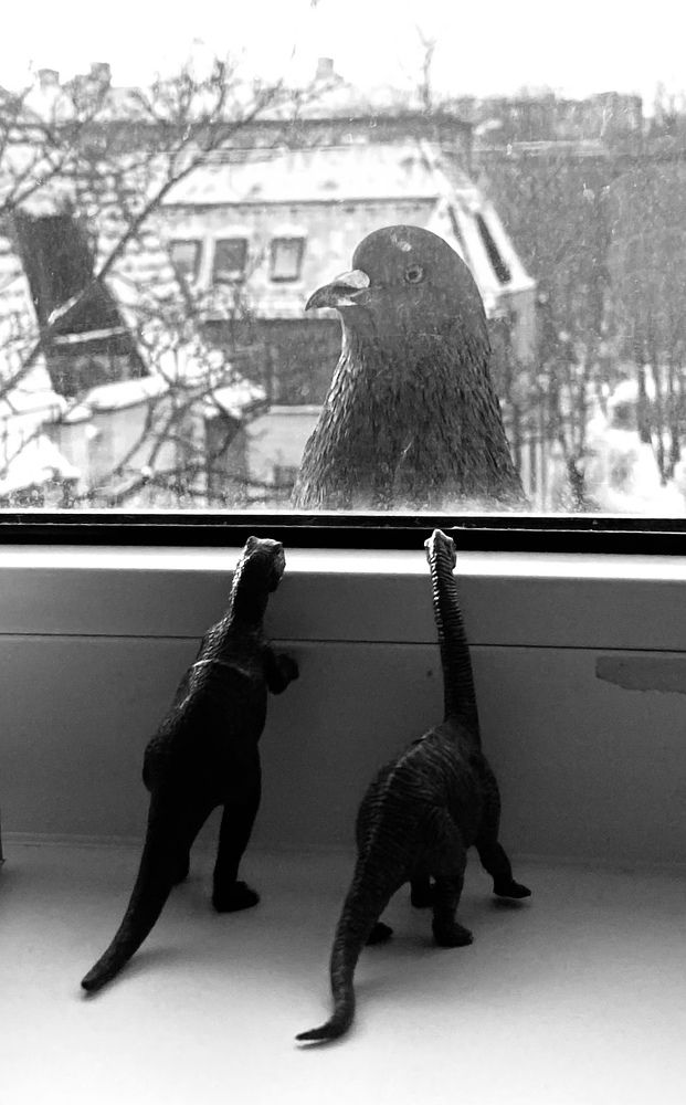 Photograph by Даная