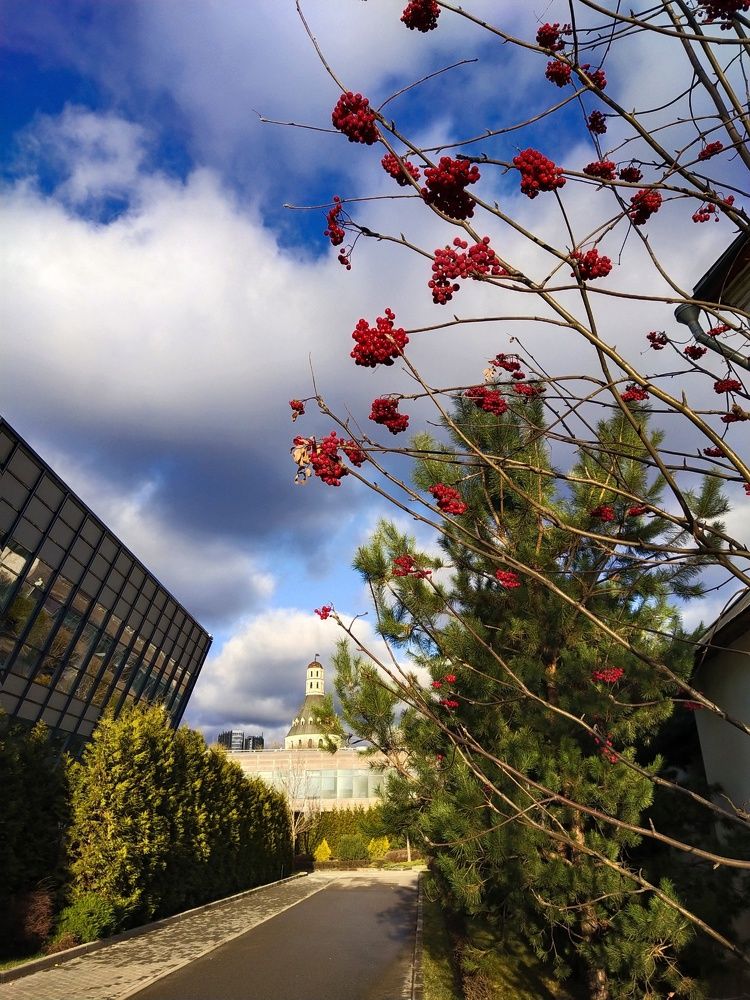 Photograph by Наталья