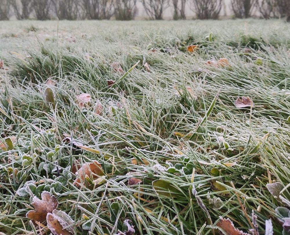 Photograph by Наталья