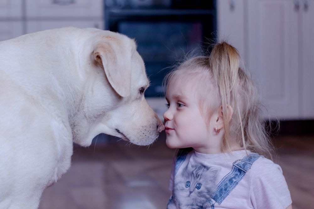 Photograph by Ольга Плотникова