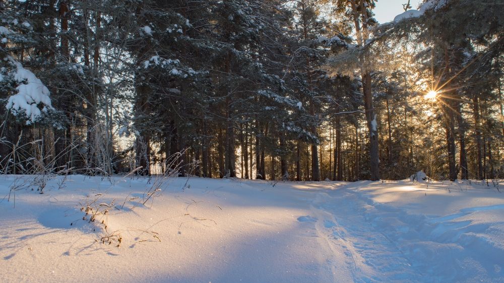 Photograph by Николай Путинцев