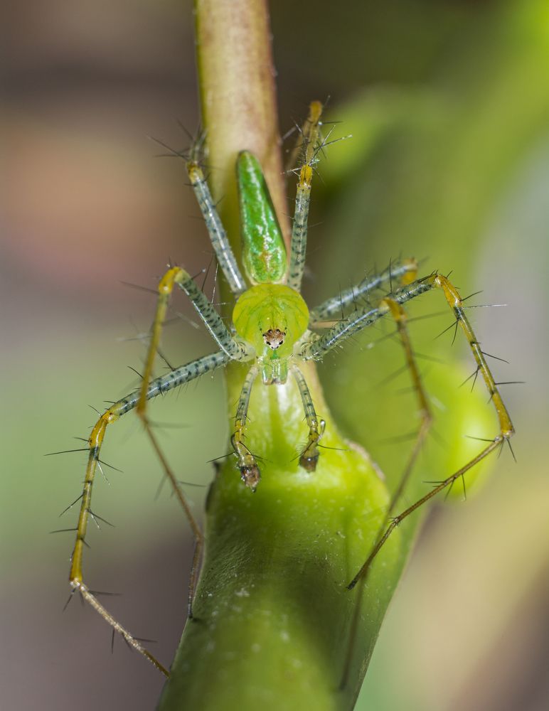 Photograph by Fernando Blancas