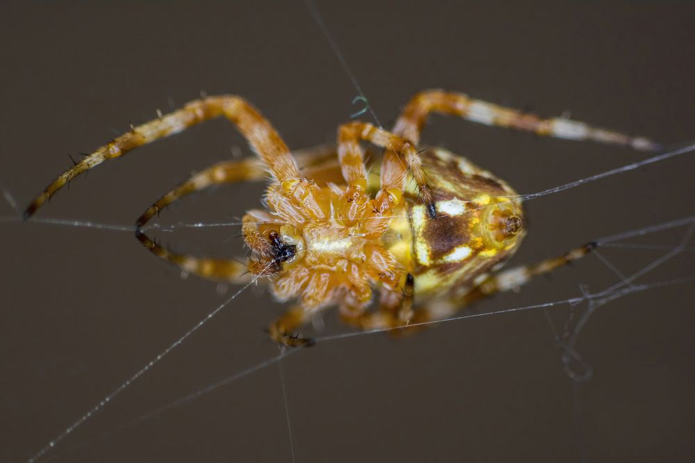 Photograph by Fernando Blancas