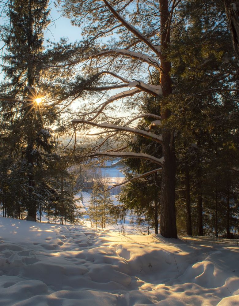 Photograph by Николай Путинцев