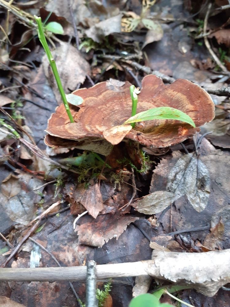 Photograph by Евгения Ульянова