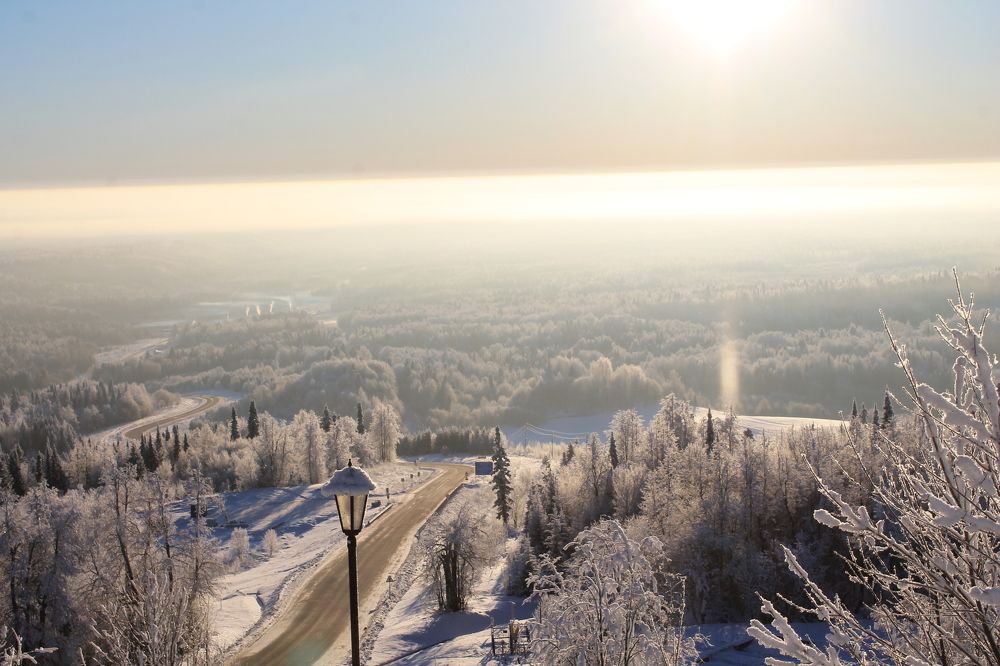 Photograph by Елена Шмырвоа