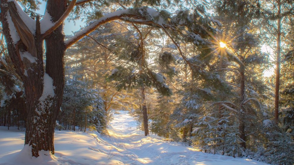 Photograph by Николай Путинцев