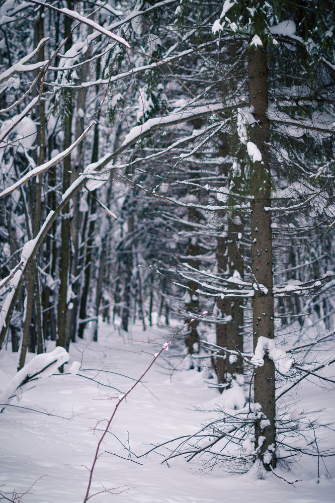 Photograph by владимир нестеров