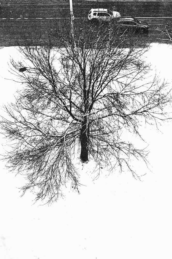 Photograph by Армен Арутюнов