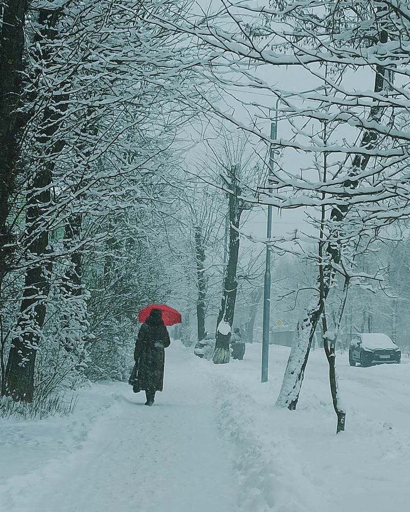 Photograph by Андрей