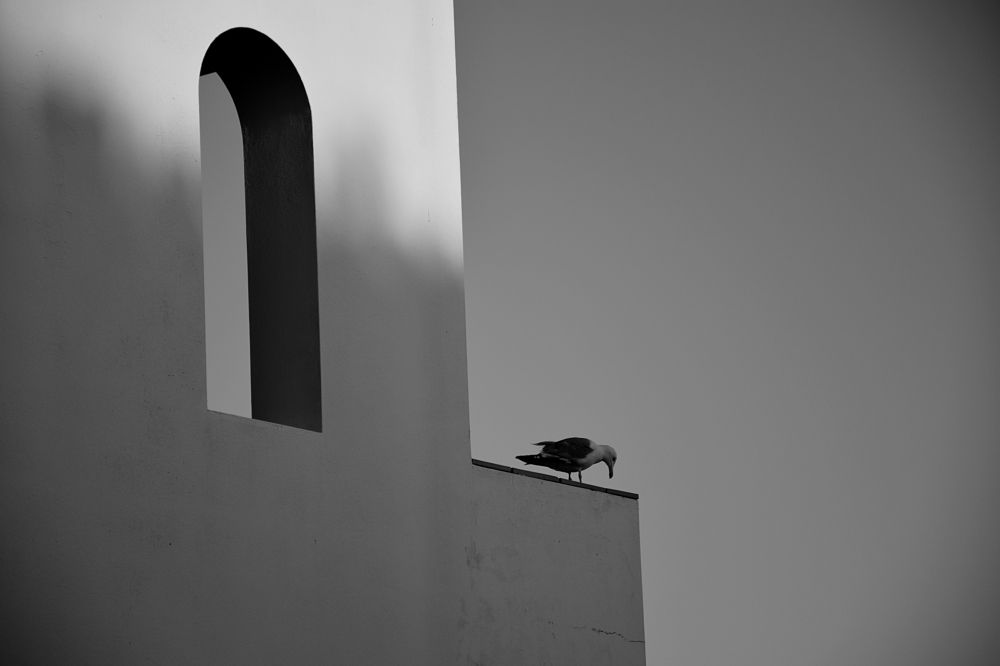 Photograph by Александра Силохина
