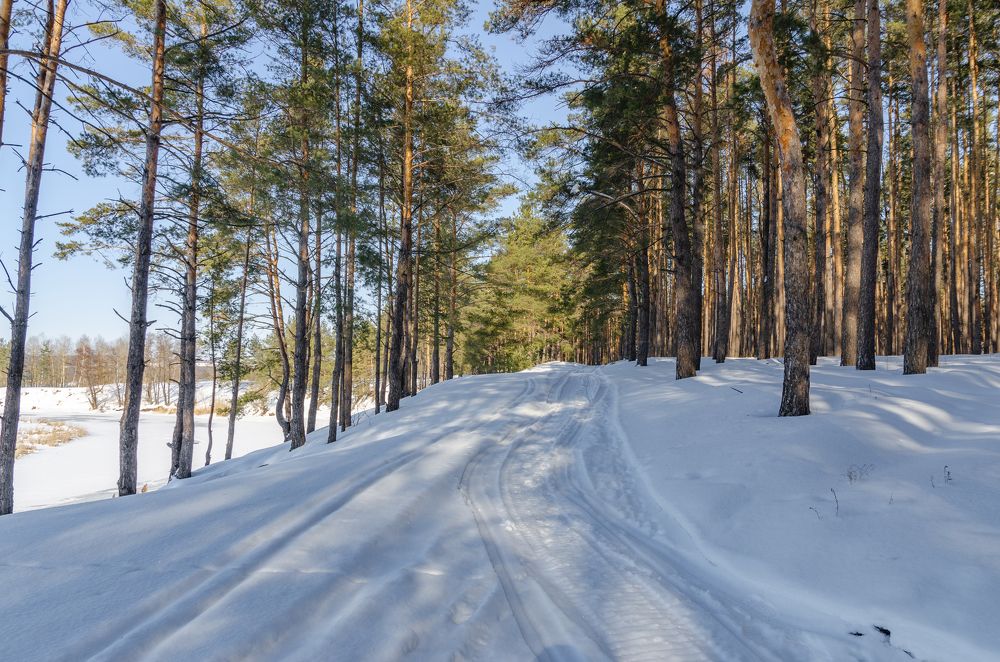 Photograph by Александр Щербаков