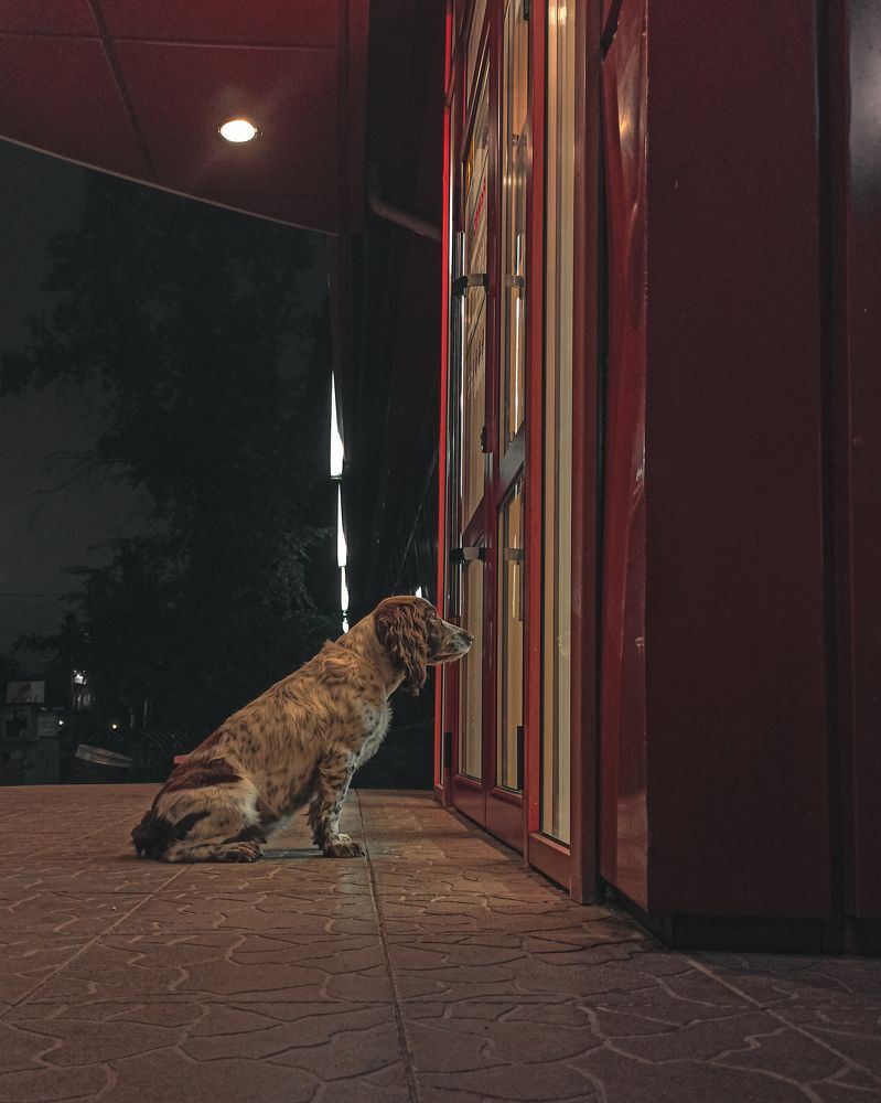 Photograph by Андрей