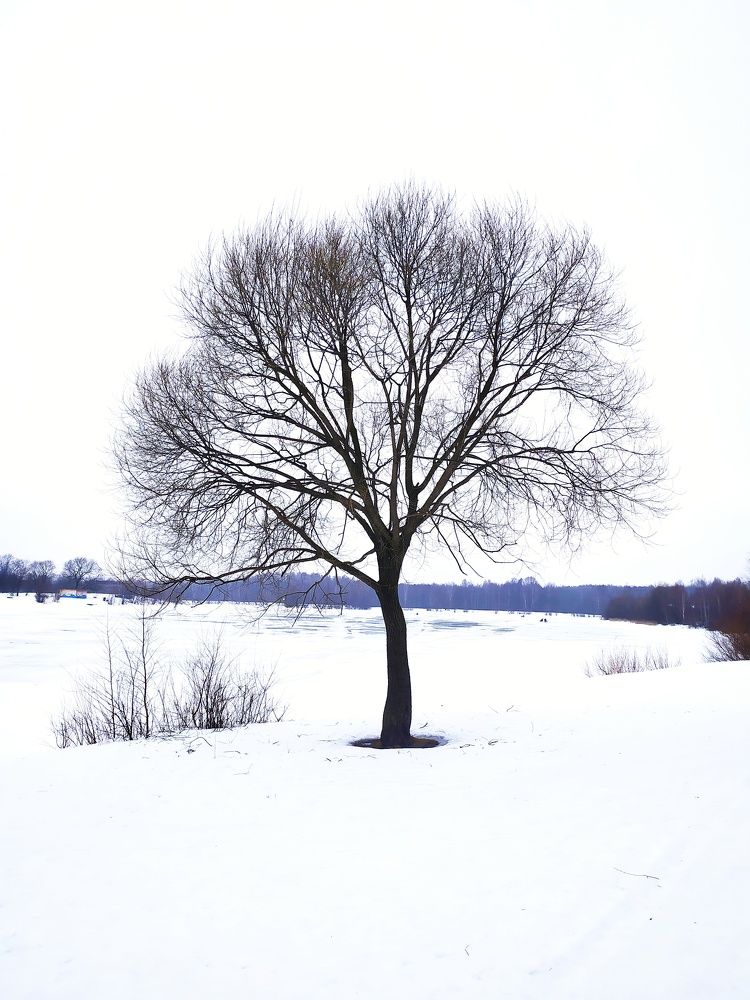 Photograph by Любовь Сухова