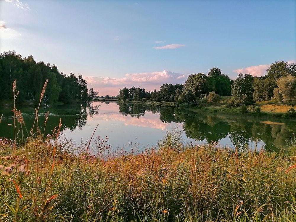 Фотография автора Елена Савельева
