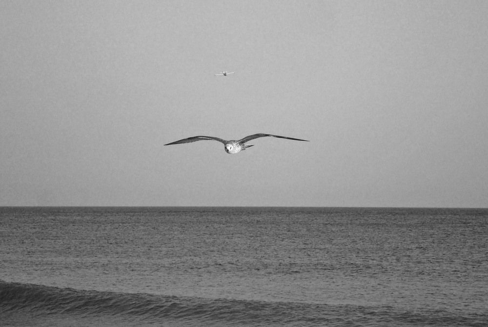 Photograph by Ольга