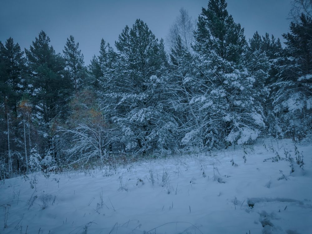 Photograph by Никита Сокольников