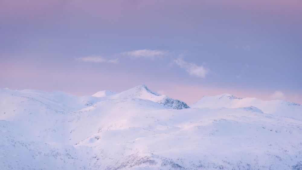 Photograph by Esmeralda Holman