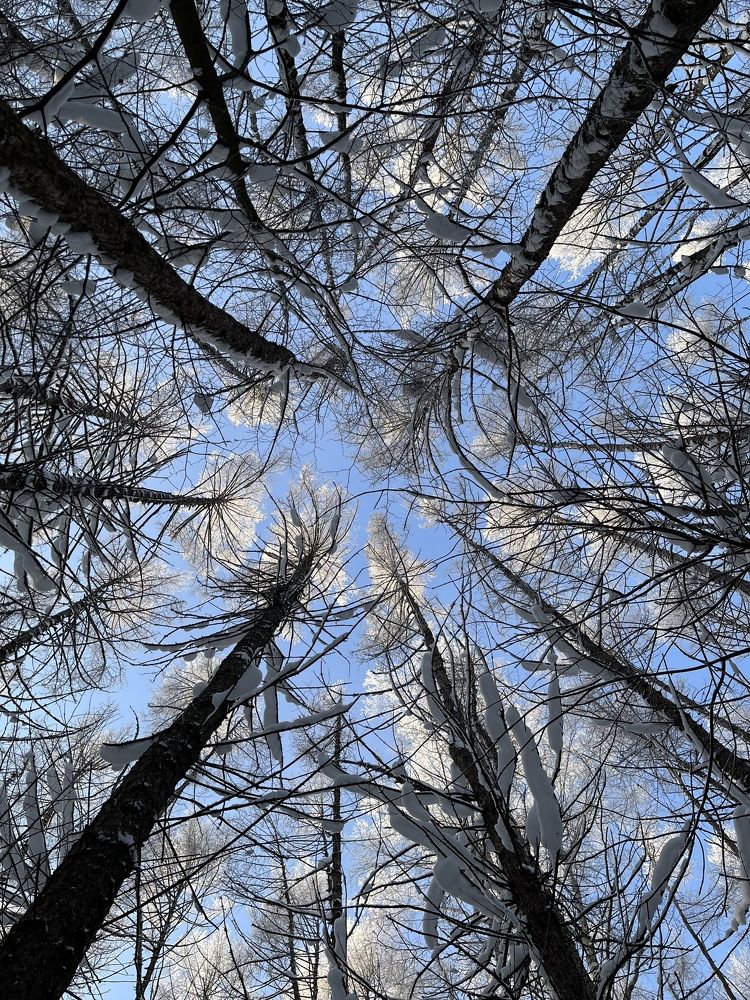 Photograph by Екатерина