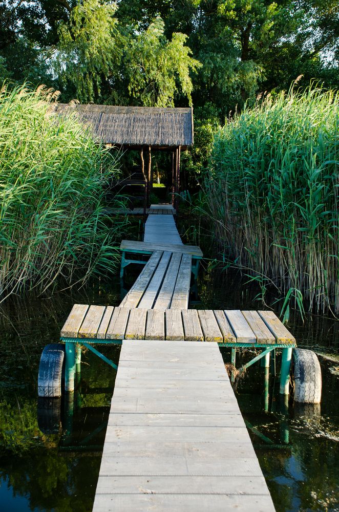 Photograph by Igor  Nosulenko