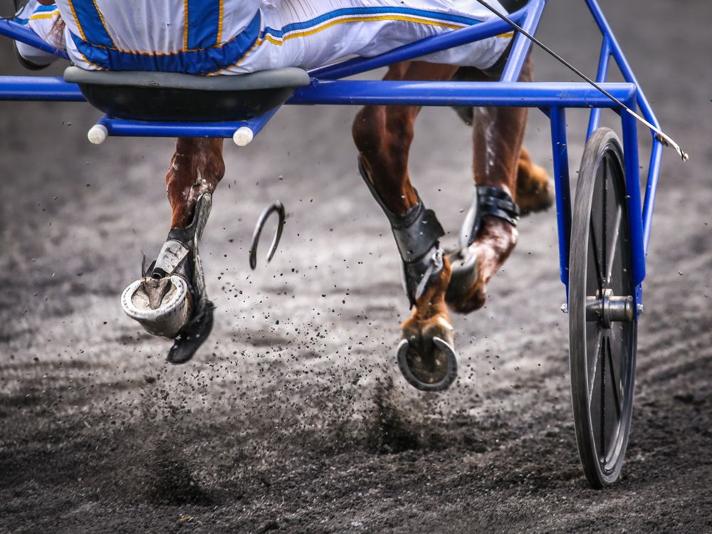 Фотография автора Nadina Ironia