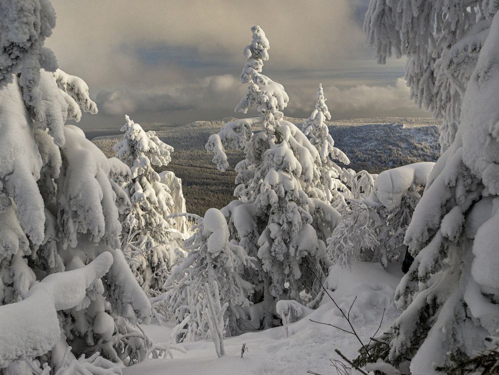 Photograph by Кирилл Аксенов